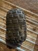 *Used Quad tires 22x10-9 Dunlop - 2