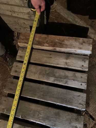 *homebuilt wooden ramps with metal extension (10” high, 68” long)